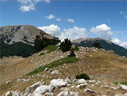 Parco Nazionale del Pollino